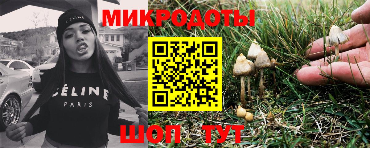 Псилоцибиновые грибы мицелий  Вход с VPN  Острогожск 